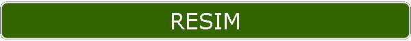 RESIM